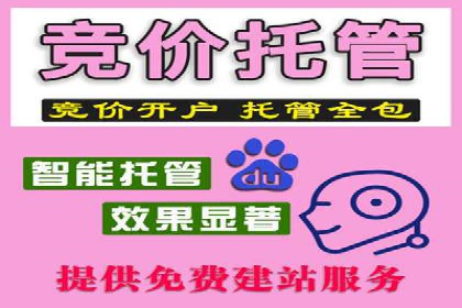探索SEM竞价员的核心工作与案例分析